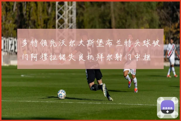 多特领先沃尔夫斯堡布兰特头球破门阿穆拉错失良机拜尔射门中框
