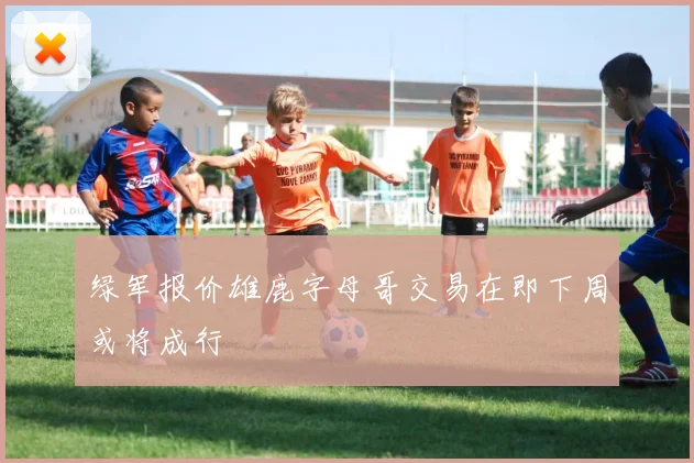 绿军报价雄鹿字母哥交易在即下周或将成行