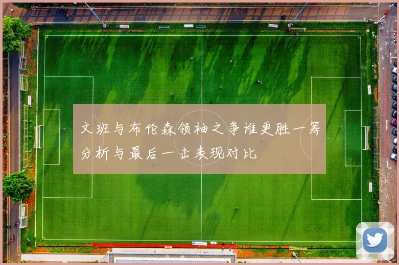 文班与布伦森领袖之争谁更胜一筹分析与最后一击表现对比